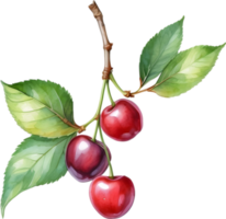 AI generated Close-up painting of cherry berry. png