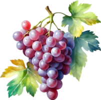 AI generated Watercolor painting of a Grapes fruit. png