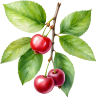 AI generated Close-up painting of cherry berry. png