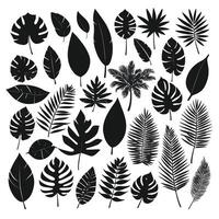 Exotic leaf set vector collection of tropical leaves silhouette