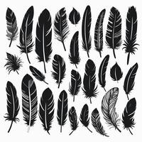 Feather silhouette illustration ink drawing vector art