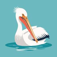 Cartoon pelican illustration vector design clip art drawing