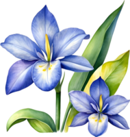 AI generated Watercolor painting of a Water Hyacinth flower. png