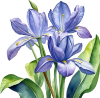 AI generated Watercolor painting of a Water Hyacinth flower. png