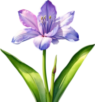 AI generated Watercolor painting of a Water Hyacinth flower. png