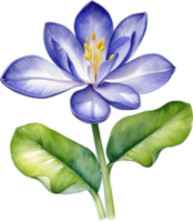 AI generated Watercolor painting of a Water Hyacinth flower. png