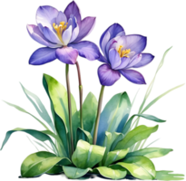 AI generated Watercolor painting of a Water Hyacinth flower. png