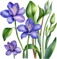 AI generated Watercolor painting of a Water Hyacinth flower. png