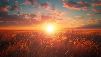 AI generated Beautiful sunset view in padi field. Nature beauty concept. photo