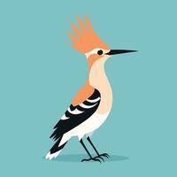 Hoopoe cartoon illustration clip art vector design