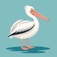 Cartoon pelican illustration vector design clip art drawing