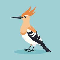 Hoopoe cartoon illustration clip art vector design