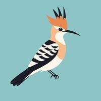 Hoopoe cartoon illustration clip art vector design