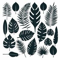 Exotic leaf set vector collection of tropical leaves silhouette