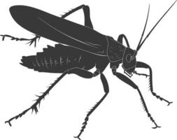 AI generated Silhouette Cricket Insect animal black color only vector