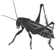 AI generated Silhouette Cricket Insect animal black color only vector