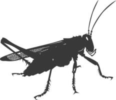 AI generated Silhouette Cricket Insect animal black color only vector