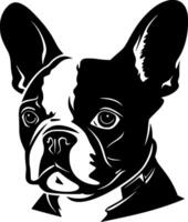 bostón terrier - minimalista y plano logo - vector ilustración