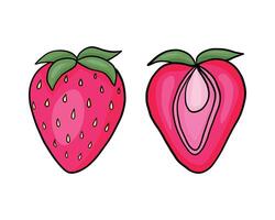 Cartoon pink strawberries isolated on white. Vector illustration of fresh farm organic berry