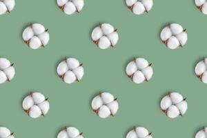 Cotton flower pattern on green background. Top view, flat lay photo