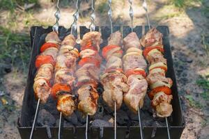 Grilled pieces of meat on skewers, shish kebab with vegetables, cooking process on brazier photo