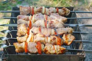 Grilled pieces of meat on skewers, shish kebab with vegetables, cooking process on brazier photo