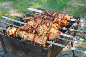 Grilled pieces of meat on skewers, shish kebab with vegetables, cooking process on brazier photo