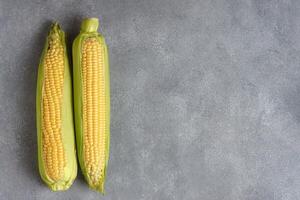 Two fresh yellow ear of corn with green leaves on gray texture background with copy space photo