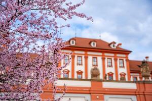 Prague, Czech Republic - March 17, 2024. Troja palace in spring with blooming sakura in Prague, Czech Republic. High quality photo