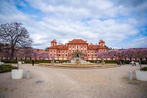 praga, checo república - marzo 17, 2024. troja palacio en primavera con floreciente sakura en praga, checo república. alto calidad foto