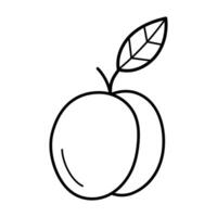 Peach. Hand drawn sketch icon of tropic fruit. Vector illustration in doodle line style isolated on white background.