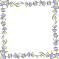 Decorative frame of lavender flowers for your design. Vector illustration isolated on white background.