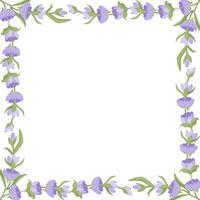 Decorative frame of lavender flowers for your design. Vector illustration isolated on white background.