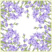 Decorative frame of lavender flowers for your design. Vector illustration isolated on white background.