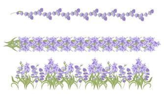 Set of decorative borders of lavender flowers for your design. Vector illustration isolated on white background.