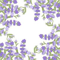 Decorative frame of lavender flowers for your design. Vector illustration isolated on white background.