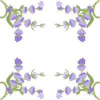 Decorative frame of lavender flowers for your design. Vector illustration isolated on white background.