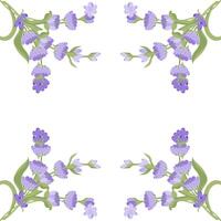 Decorative frame of lavender flowers for your design. Vector illustration isolated on white background.