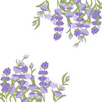 Decorative frame of lavender flowers for your design. Vector illustration isolated on white background.