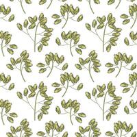Set of wild field grass tops. Detailed vector illustration isolated on white background.