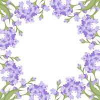 Decorative frame of lavender flowers for your design. Vector illustration isolated on white background.
