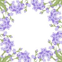 Decorative frame of lavender flowers for your design. Vector illustration isolated on white background.