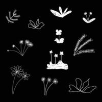 hand drawn flower doodle illustration vector