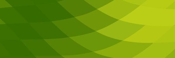 abstract green elegant background with lines vector