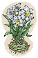 Hand drawn colorful vector illustration with engraved funny demon or gnome face as root of beautiful spring flower of Narcissus isolated on white, garden fantasy concept