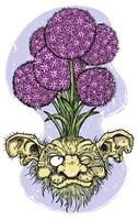 Hand drawn colorful vector illustration with engraved funny demon or gnome face as root of beautiful spring flower of Allium isolated on white, garden fantasy concept