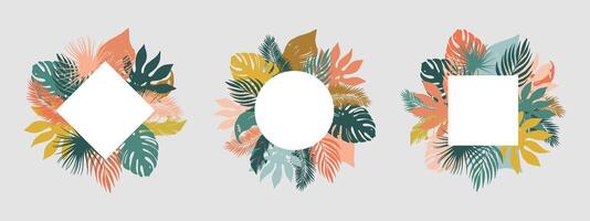 conjunto de brillante tropical marcos con espacio para texto. vector