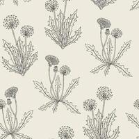 Gorgeous contour botanical seamless pattern with blooming dandelion plants, flowers, seed heads and leaves hand drawn in retro style. Natural vector illustration for fabric print, wallpaper.