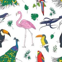 Beautiful colored seamless pattern with tropical birds and exotic leaves hand drawn on white background. Colorful vector illustration for wallpaper, fabric print, wrapping paper.