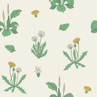 Gorgeous natural seamless pattern with flowering herbaceous plants. Beautiful wild flowers and blooming herbs - dandelion and plantain. Vector illustration for wrapping paper, wallpaper, backdrop.